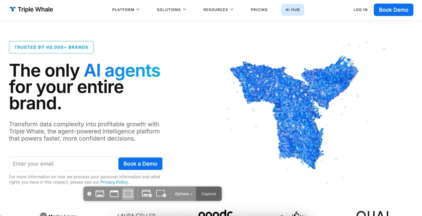 triple whale homepage screenshot