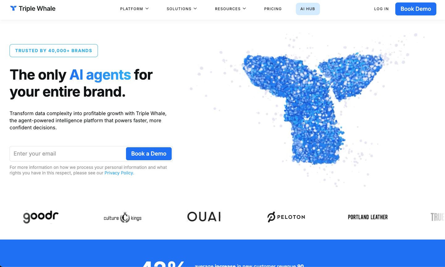triple whale homepage screenshot